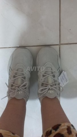 adidas ozweego
