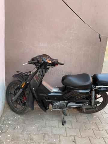 Becane 33 neuf | Motos à El Jadida | Avito.ma