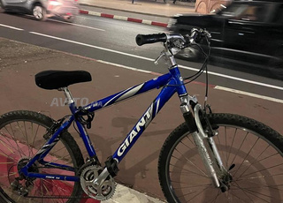 Bike Giant 26