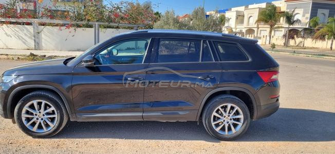 Belle kodiaq ambition automatique 7 places
