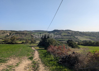 Terrain titré à vendre