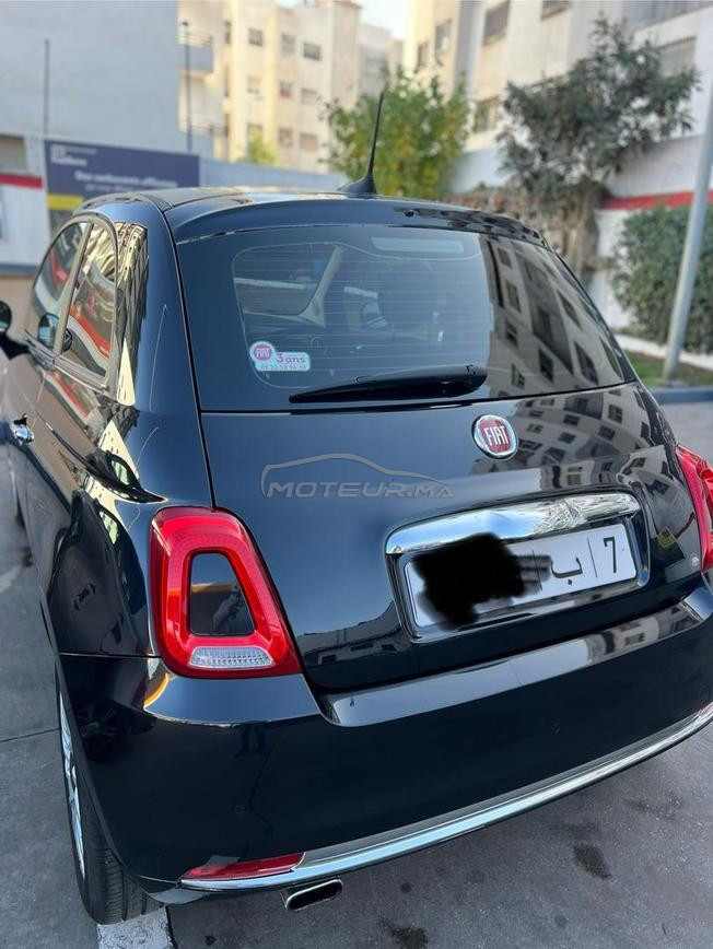 fiat   500