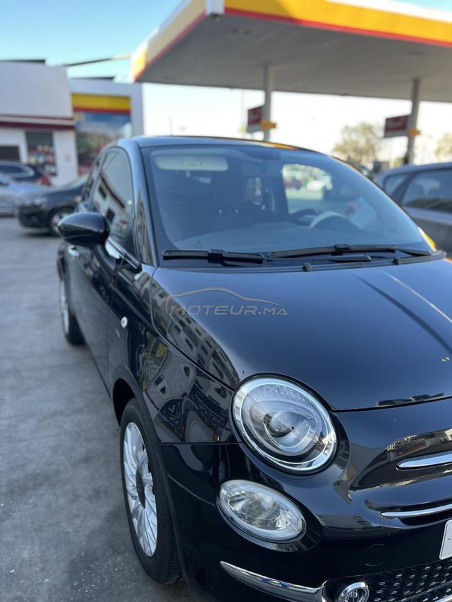 fiat   500