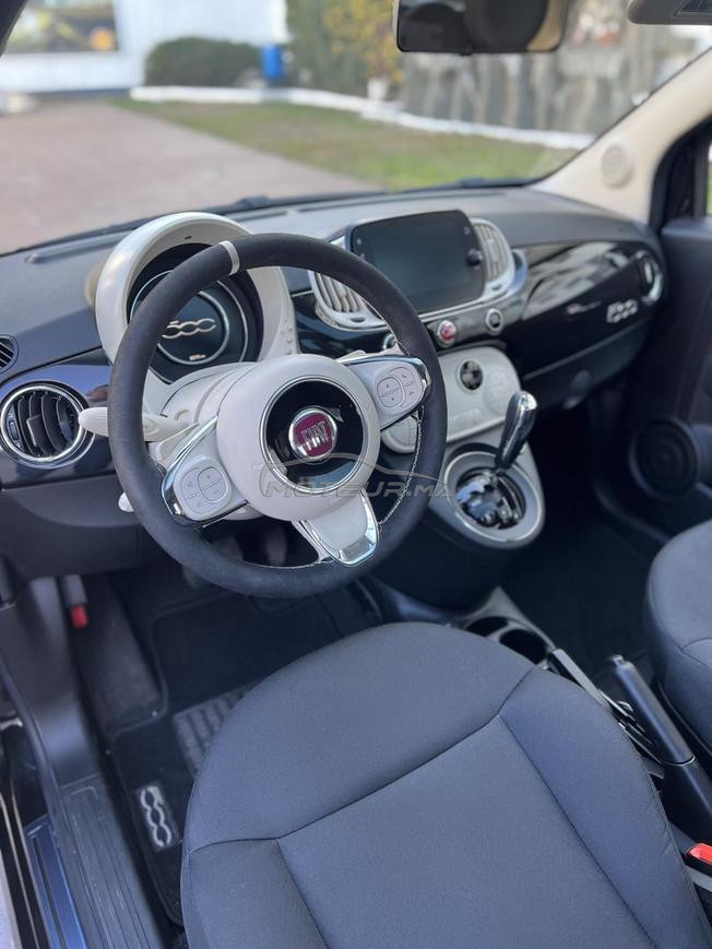 fiat   500