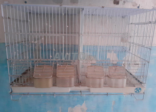 2 Cages Mazal Mzianin 