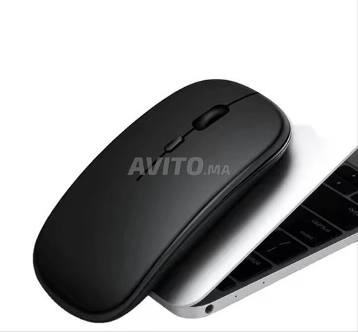  Souris D'ordinateur Silencieuse Sans Fil  2.4GHz 