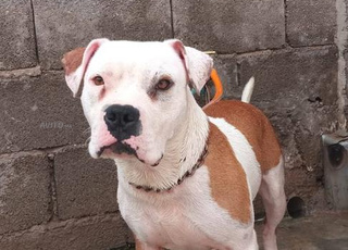 مدينة اكادير