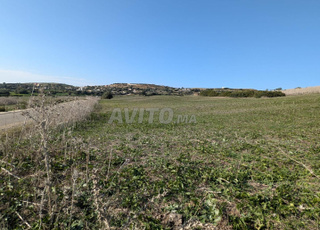 3 Hectares agricoles titrés aux environs d'Asilah