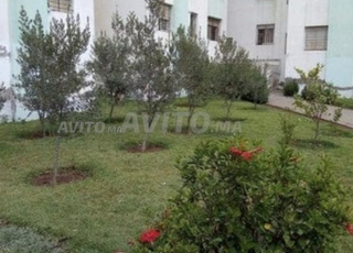 صالون ومرحاض فصيل للكراء