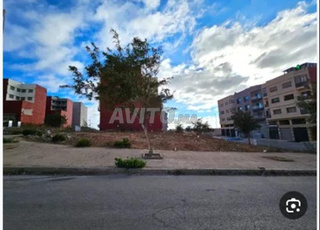 ارض للبيع عين دالية