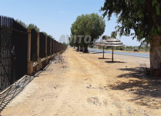 Terrain sur la route principale sale-tiflet