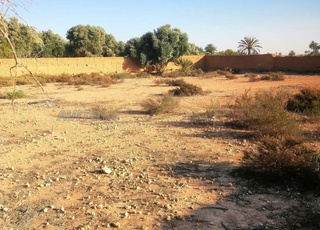 Appartement à vendre 1345 m² à Tiznit