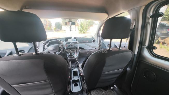 kangoo bagra