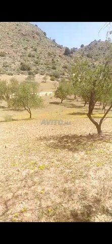 ايت اومراس piste المتجهة الى تاكست