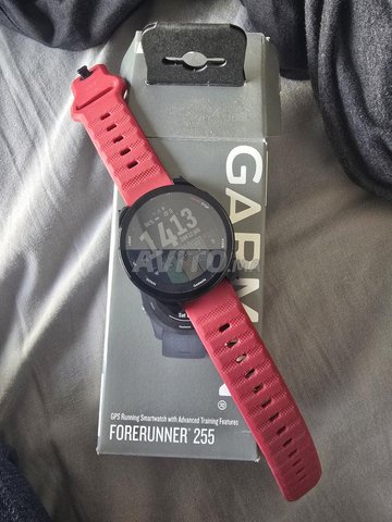garmin forerunner 255