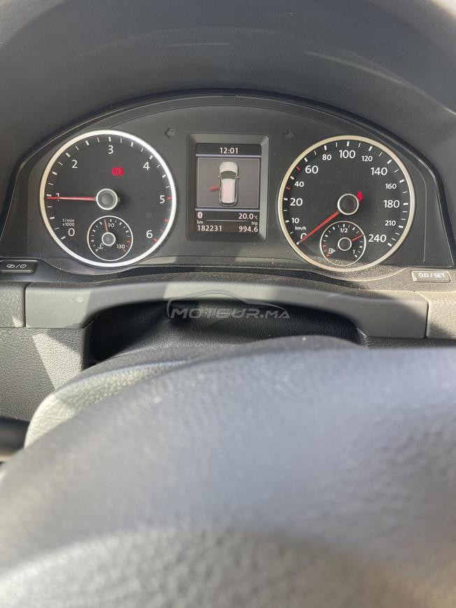 belle Tiguan 