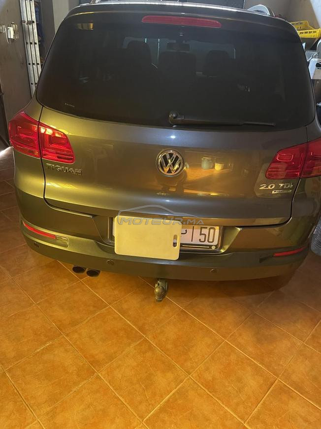belle Tiguan 