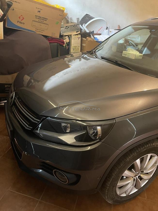 belle Tiguan 