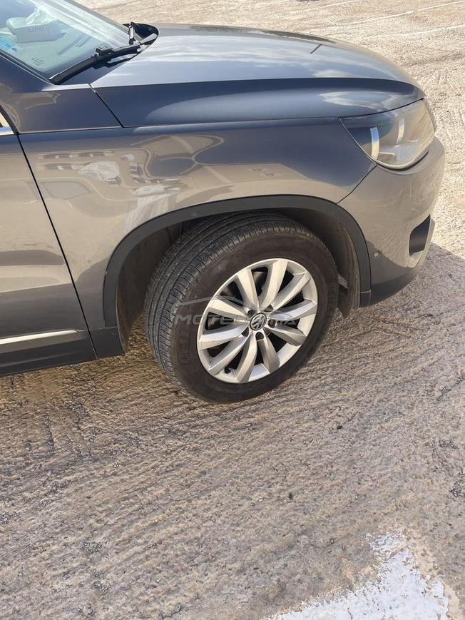 belle Tiguan 