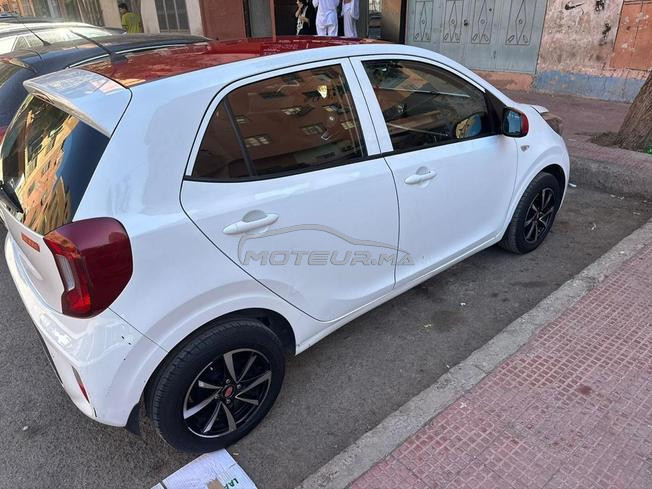 kia picanto 