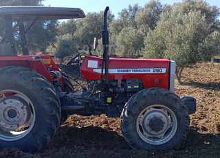 Massey Ferguson 290