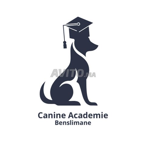 Pension éducative pour chiens de toute race