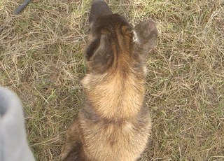 الثمن مناسب قرا التحت