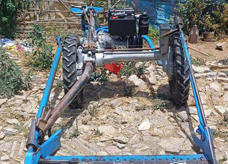 حشاش فوزوز الفصة