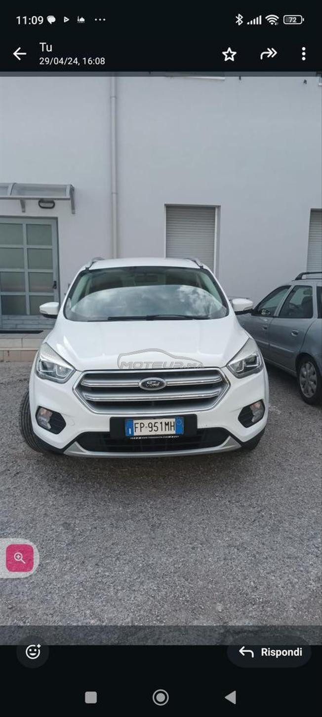 kuga blanc