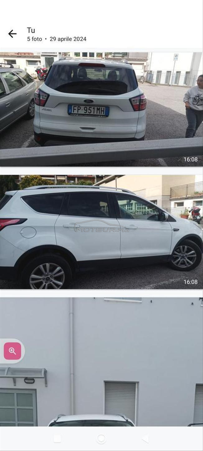 kuga blanc