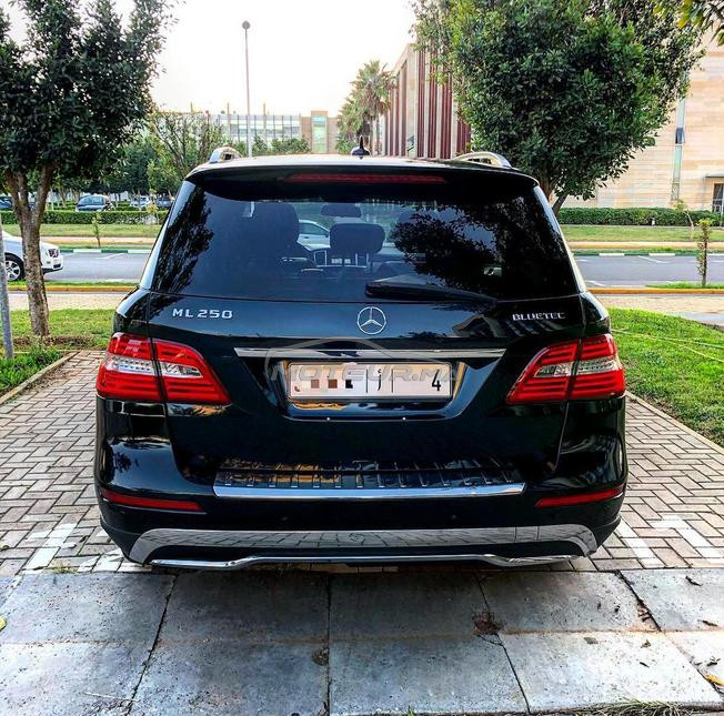 mercedes ml 250