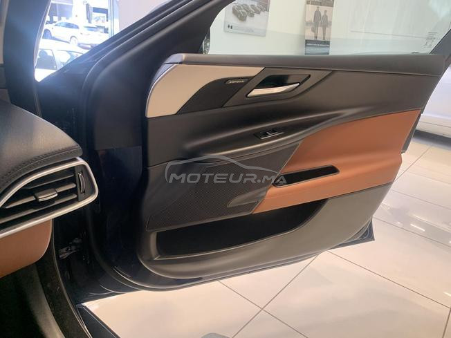 Jaguar bien entretenu