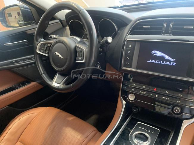 Jaguar bien entretenu