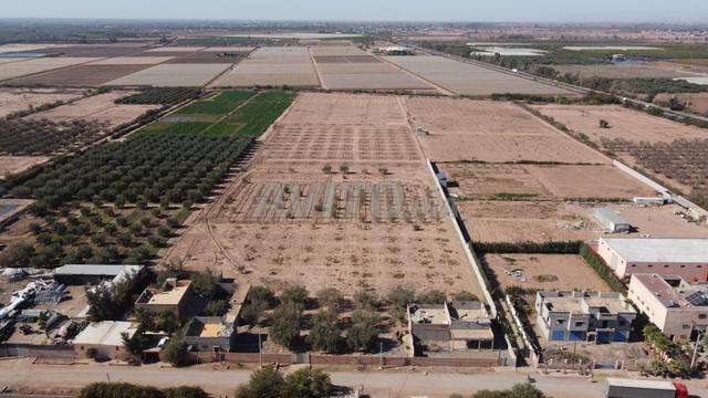 Terrain 4 hectar a douar francois