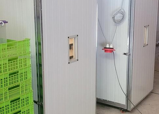 متوفر جميع أحجام الفقاسات اتوماتيك بجودة عالية 