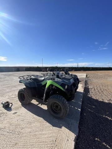 Kawasaki, 300 brutes force