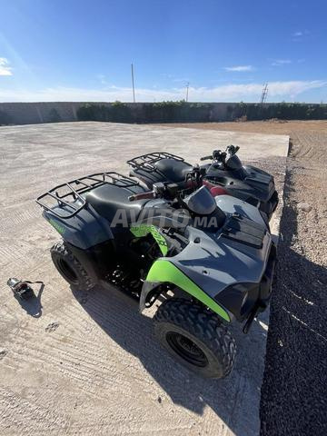 Kawasaki, 300 brutes force - 2