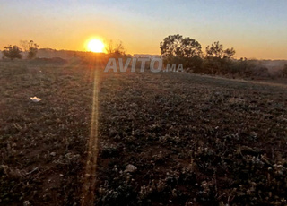  À Vendre Terrain Industriel de 5,5 Hectares 