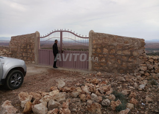 Ferme Agricole titré 1300 oliviers 100 amandiers