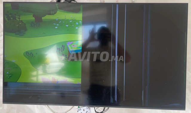 Samsung 50 pouce afficheure brisé 