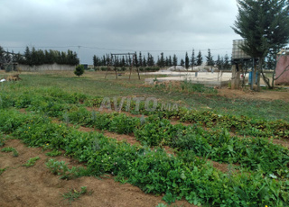 Ter titre 1ha tiflet ait wahhi