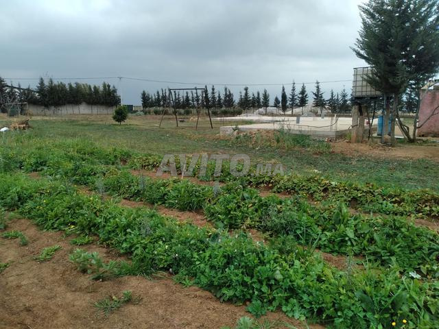 Ter titre 1ha tiflet ait wahhi