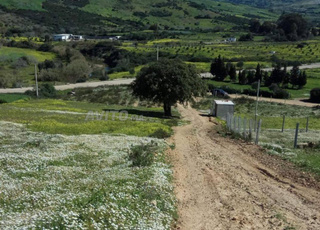 Terrain à Vendre à Melloussa, Tanger