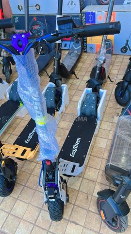 bison GT 1000 w 2025