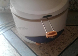 Friteuse  electrique poisson et légumes 