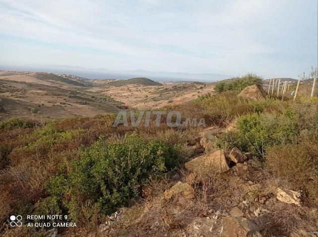 Terrain Terrain de 1000 m² avec vue sur mer