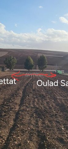 Tres beau terrain a 3 min de Settat