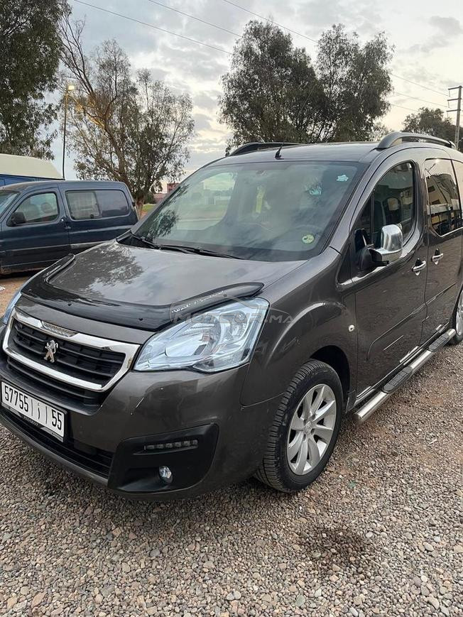 Peugeot tepee 