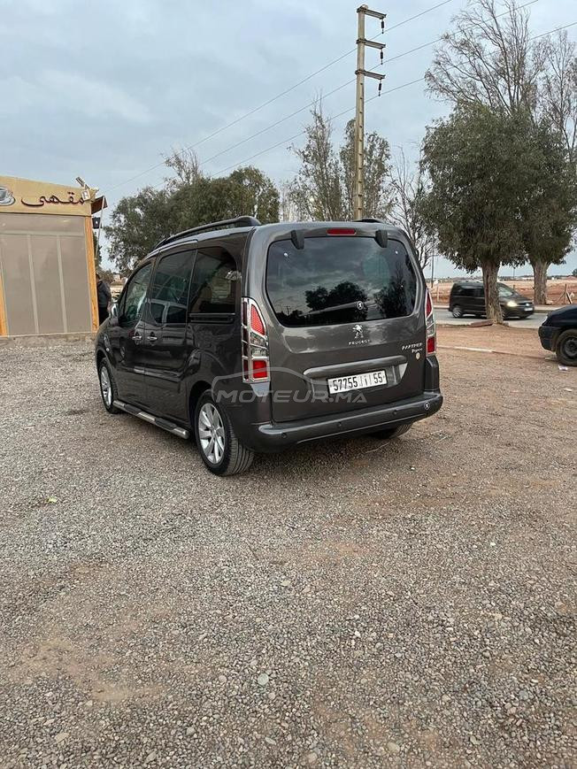 Peugeot tepee 