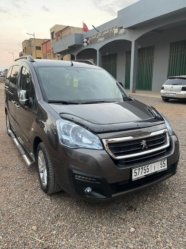 Peugeot tepee 